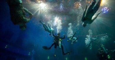 How Do We Breathe Underwater? The Truth About Synchronized Swimming, Freediving, and Scuba Diving How Do We Breathe Underwater? The Truth About Synchronized Swimming, Freediving, and Scuba Diving
