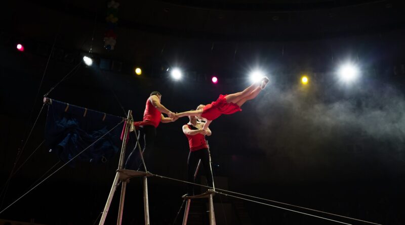 Circus & Variety Performer Jobs & Auditions The StageLync Job Board