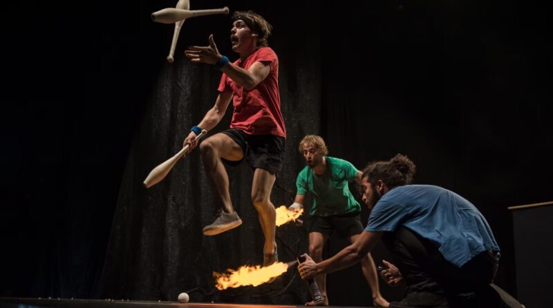 Open Letter Defends Artistic Freedom Following Controversy at Croatia’s Festival uličnih čarobnjaka