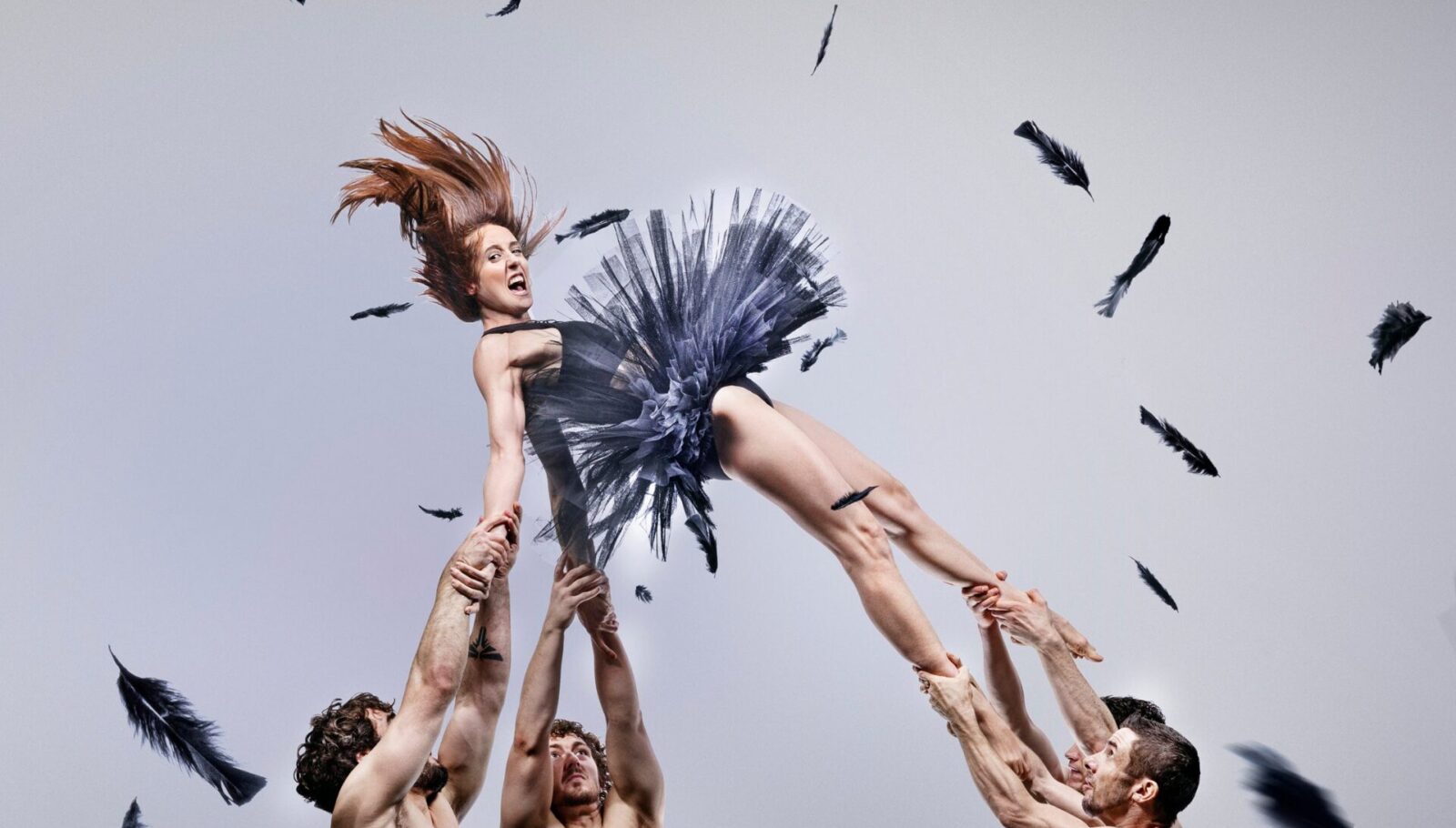 Brighton Dome Autumn 2026 Season Lineup Announced - StageLync