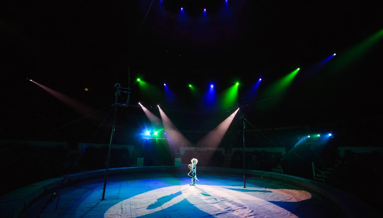 Circus & Variety Performer Jobs Worldwide The StageLync Job Board