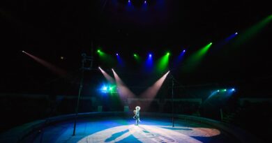 Circus & Variety Performer Jobs Worldwide: The StageLync Job Board Circus & Variety Performer Jobs Worldwide: The StageLync Job Board