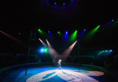 Circus & Variety Performer Jobs Worldwide The StageLync Job Board