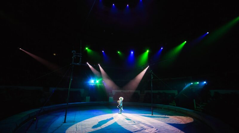 Circus & Variety Performer Jobs Worldwide: The StageLync Job Board