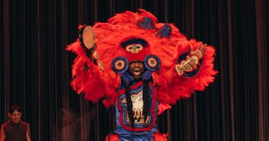 Citizen Arts International Festival Announces Inaugural 2026 Season with Astoria Park Launch