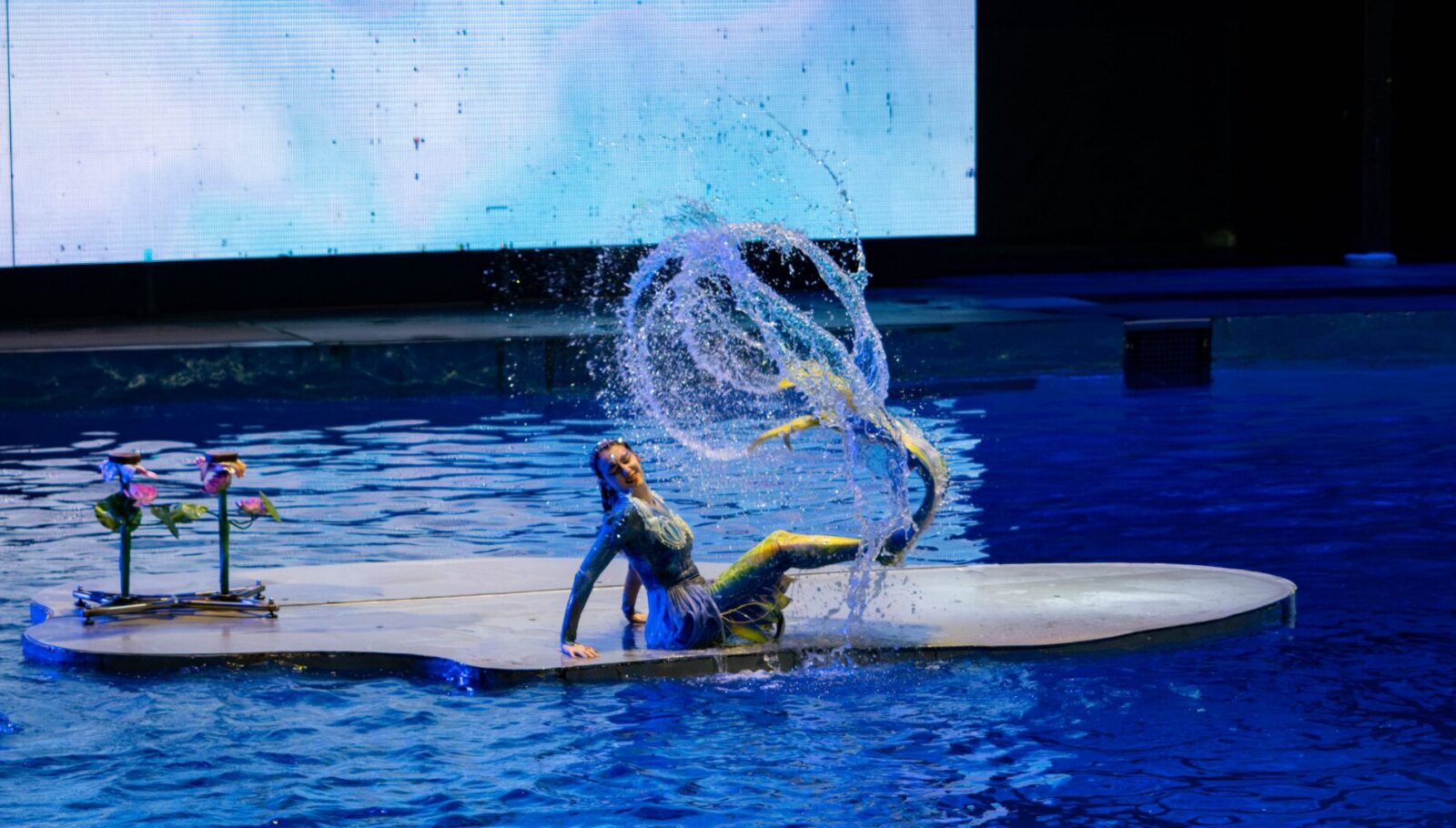 Aquarium Performers: The Reality Behind Underwater Shows