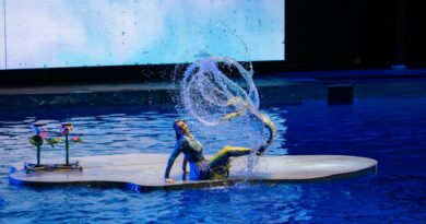 Aquarium Performers: The Reality Behind Underwater Shows Aquarium Performers: The Reality Behind Underwater Shows