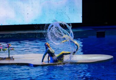 Aquarium Performers: The Reality Behind Underwater Shows