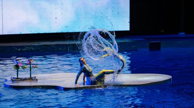 Aquarium Performers: The Reality Behind Underwater Shows Aquarium Performers: The Reality Behind Underwater Shows