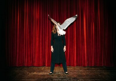 Casting Announced for World Premiere of NINA at BAC - StageLync