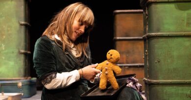 Stuff & Nonsense Announces The Gingerbread Man UK Tour Stuff & Nonsense Announces The Gingerbread Man UK Tour