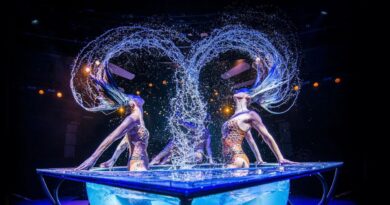 WOW – The Vegas Spectacular Celebrates 9 Years at Rio
